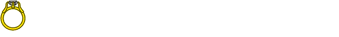 AnelBarra02.gif (35862 bytes)